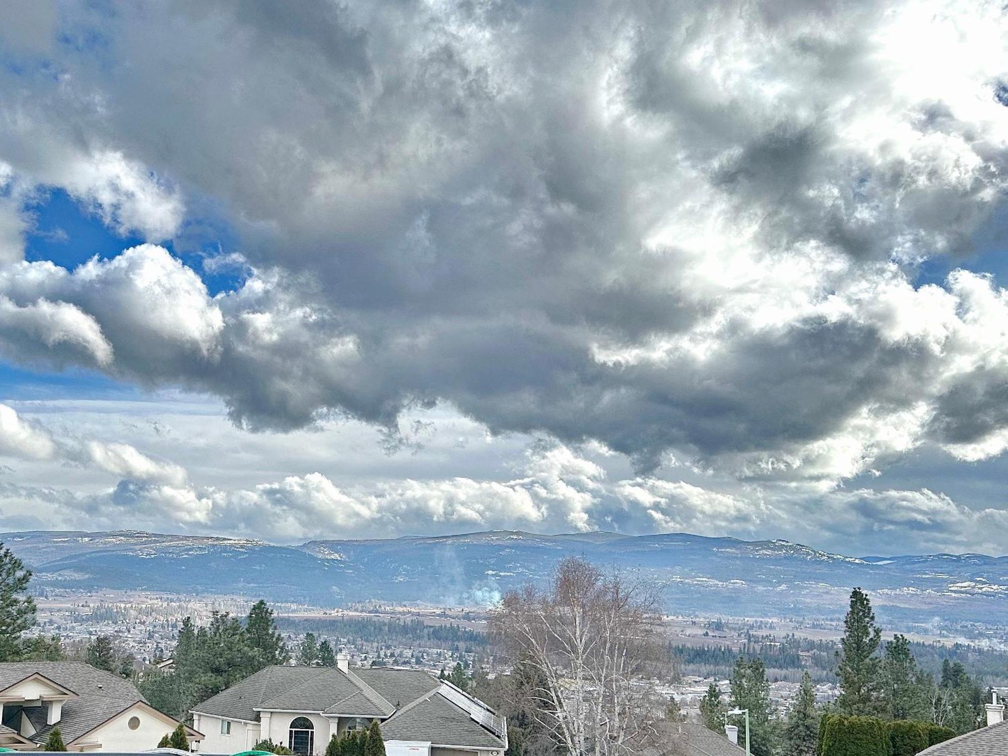 Under The Tree - Bed & Breakfast Kelowna Exterior foto